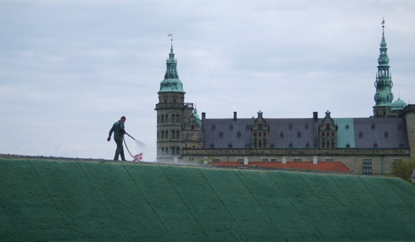 Hydroseeding for irregular terrain